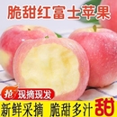 包邮 红富士苹果新鲜水果当季 整箱10斤山西脆甜冰糖丑嘎啦青小平果