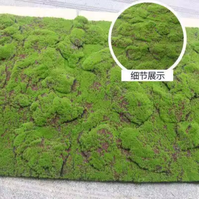 仿真绿植物墙青苔藓草皮仿真青苔草坪盆景草坪植物假苔藓石头景观