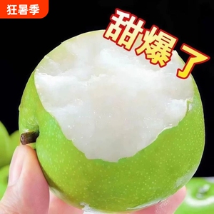 砀山梨青皮蜜梨皇冠梨梨脆甜多汁现摘现发新鲜水果当季水果