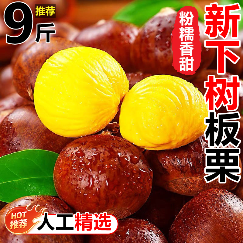 2025新丹东板栗当季生板栗批发价