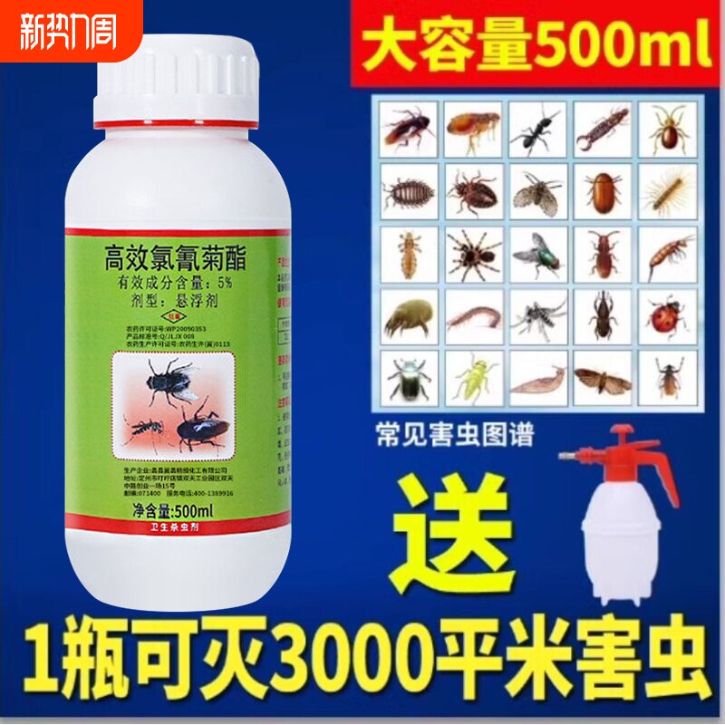 灭蟑螂神器跳蚤蚂蚁白蚁药家用室内下水道杀虫剂臭虫药马陆蜘蛛