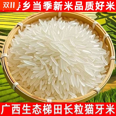 梯田猫牙米寿乡农家长粒香丝苗米