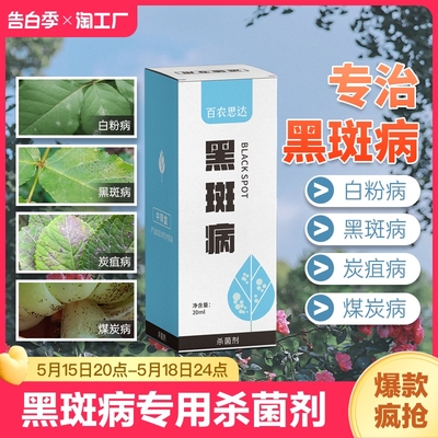 黑斑病月季专用药白粉病杀菌剂