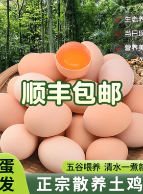 顺丰包邮正宗原生态农家土鸡蛋散养草鸡蛋笨鸡蛋柴鸡蛋约40-50g