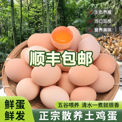 顺丰包邮正宗原生态农家土鸡蛋散养草鸡蛋笨鸡蛋柴鸡蛋约40-50g