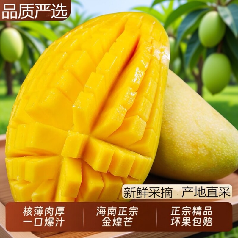 海南黄皮金煌芒果水仙芒果整箱9斤新鲜现摘当季热带水果核小5大果