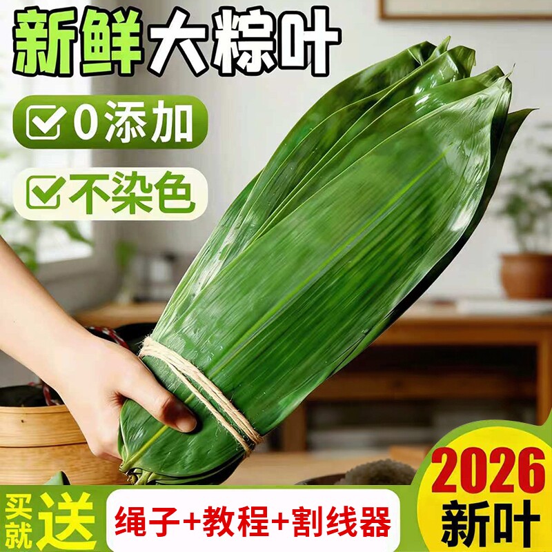粽子叶新鲜大号官方老式粽叶包粽专用芦苇干端午节家商批发商用