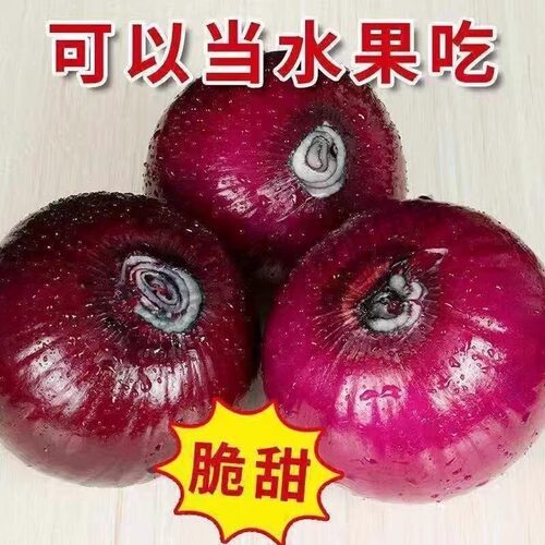 山东紫皮洋葱新鲜水果蔬菜生吃甜脆时令农家自种圆葱头脆甜采摘