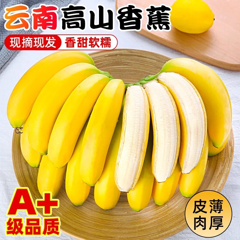 云南甜糯高山香蕉新鲜水果应季现摘芭蕉小米青香焦绿批发整箱包邮