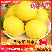 【畅销鲜柠檬】新鲜正宗黄柠檬安岳柠檬大果皮薄一级鲜果泡水多汁