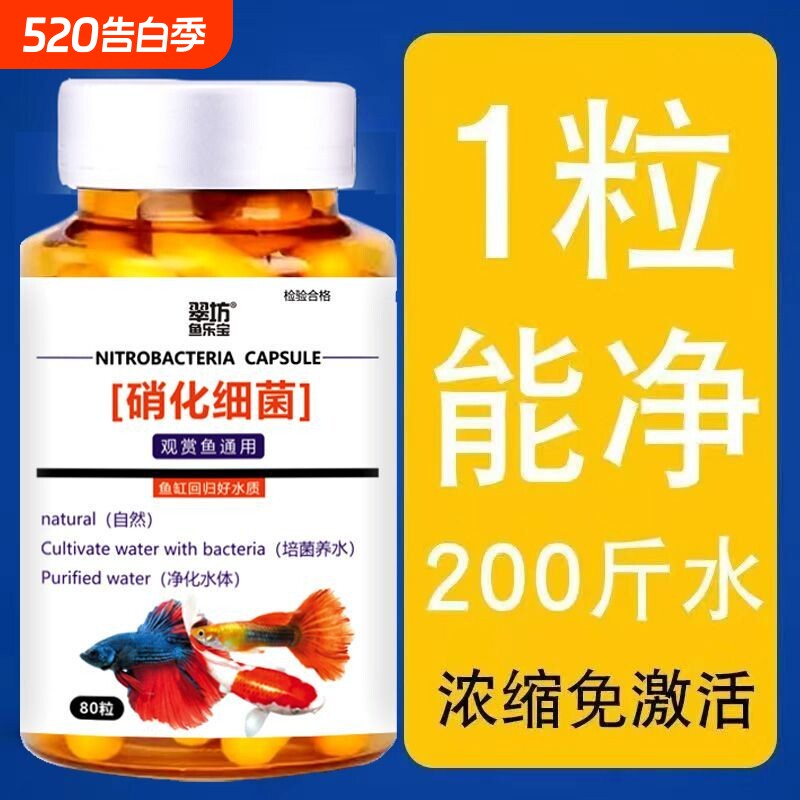 鱼缸浓缩硝化细菌胶囊鱼缸清澈净化水质养水养鱼用品水质清澈净水