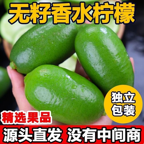 海南无籽香水柠檬子弹头柠檬5斤新鲜正宗青柠檬奶茶店专用批发