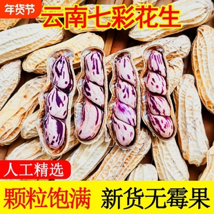七彩花生云南特产带壳七彩花生米2025新货生熟水煮咸干五彩花生