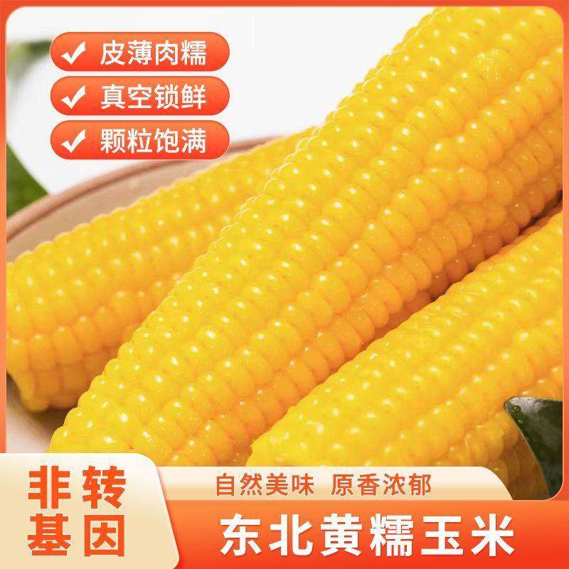 东北当季黄糯玉米新鲜无添加低脂非转基因真空袋装粘糯玉米代餐,粮油调味/速食/干货/烘焙,玉米,淘宝优惠券,粉丝福利购,淘宝优惠卷
