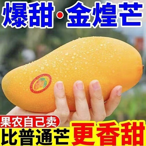 【超甜】金煌芒当季新鲜水果水仙芒玉芒大青芒果整箱非贵妃芒