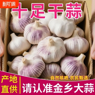 山东紫皮干蒜蒜新鲜紫白皮多瓣蒜农家干蒜头蒜瓣批发 便宜好货