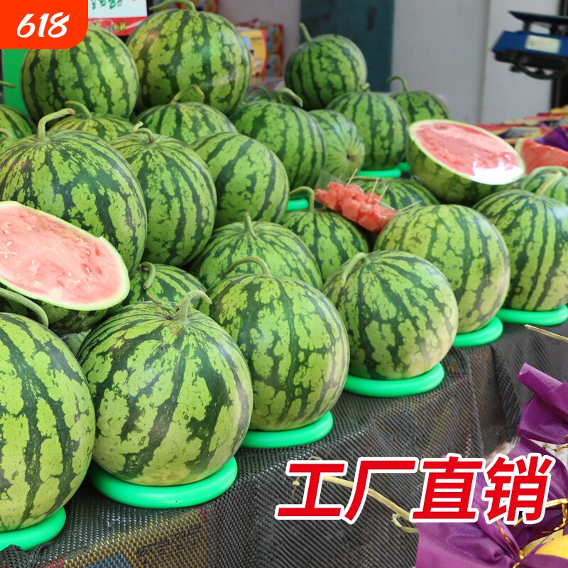 西瓜固定圈放西瓜圈水果店防滑垫塑料圈陈列摆放垫圈底座托圈篮球