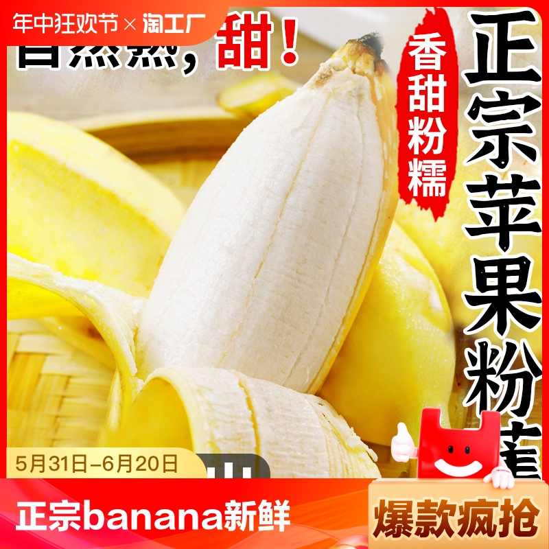 正宗苹果蕉banana香蕉新鲜9斤苹果粉蕉自然熟当季小米芭蕉香焦10