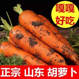 农家自种新鲜蔬菜沙土地胡萝卜生吃脆甜新鲜胡萝卜带泥胡萝卜