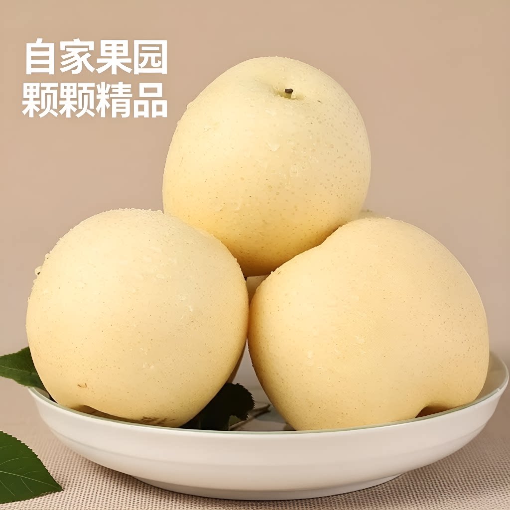 砀山梨白皇冠梨薄皮梨子当季新鲜水果苹果梨批发一整箱