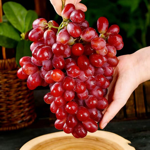 无籽红提克伦生提子葡萄5斤净重新鲜水果整串紫提子孕妇小孩水果