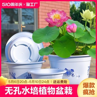 无孔水培荷花盆绿植睡莲盆栽特大塑料加厚铜钱草碗莲盆缸土培庭院