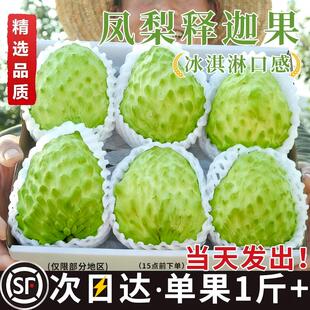 释迦果大果新鲜番荔枝大目凤梨牛奶牟尼果佛头果林檎摩尼果5顺丰