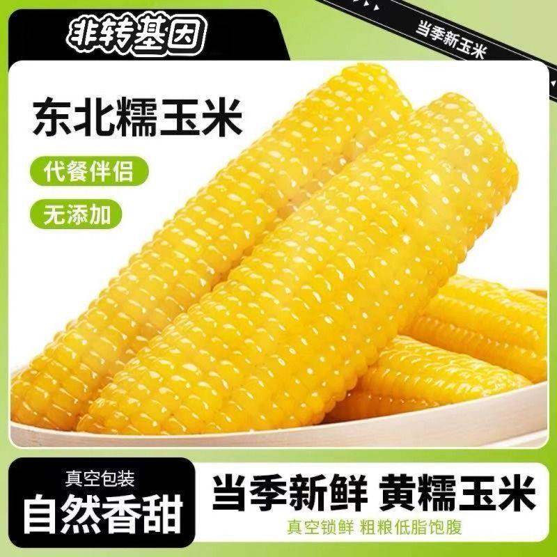 当季东北黄甜糯玉米棒10支新货真空包装低脂黄糯大棒甜东北黏苞米,粮油调味/速食/干货/烘焙,玉米,淘宝优惠券,粉丝福利购,淘宝优惠卷