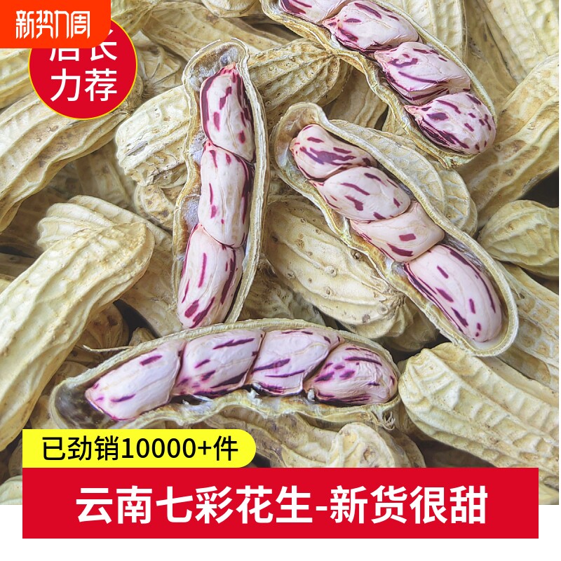 七彩花生新货云南普洱七彩野地带壳五彩花生傣家老品种水果花生