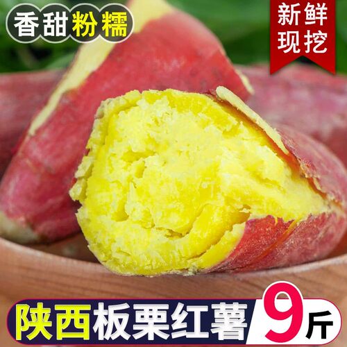 红薯地瓜新鲜农家自种沙地红蜜薯黄心板栗山芋小番薯粗粮红心软糯