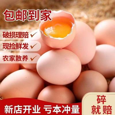 土鸡蛋农家散养谷物鸡蛋柴鸡蛋草鸡蛋笨鸡蛋营养早餐40-50g多规格