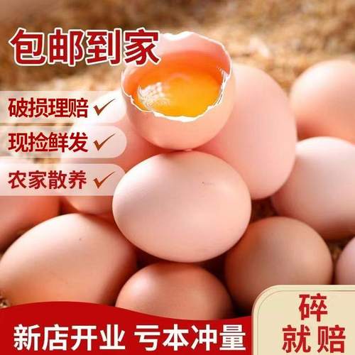 土鸡蛋农家散养谷物鸡蛋柴鸡蛋草鸡蛋笨鸡蛋营养早餐40-50g多规格