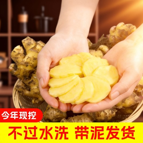 批发正宗云南小黄姜5斤新鲜嫩生姜现挖高山沙姜嫩姜蔬菜包邮食用