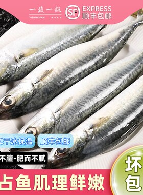 新鲜青占鱼鲐鲅鱼青花鱼深海冷冻水产生鲜食材顺丰包邮鲜活香煎