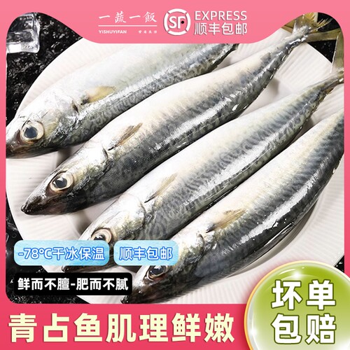 新鲜青占鱼鲐鲅鱼青花鱼深海冷冻水产生鲜食材顺丰包邮鲜活香煎