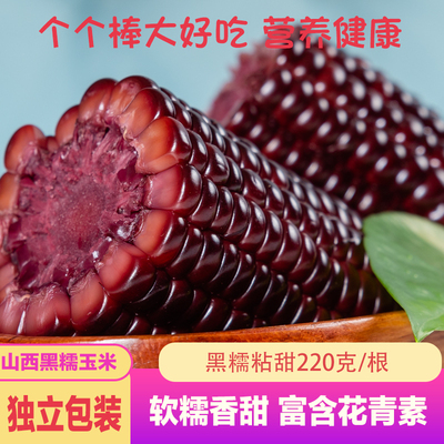山西忻州真空黑色糯玉米香甜软糯代餐玉米粗粮玉米