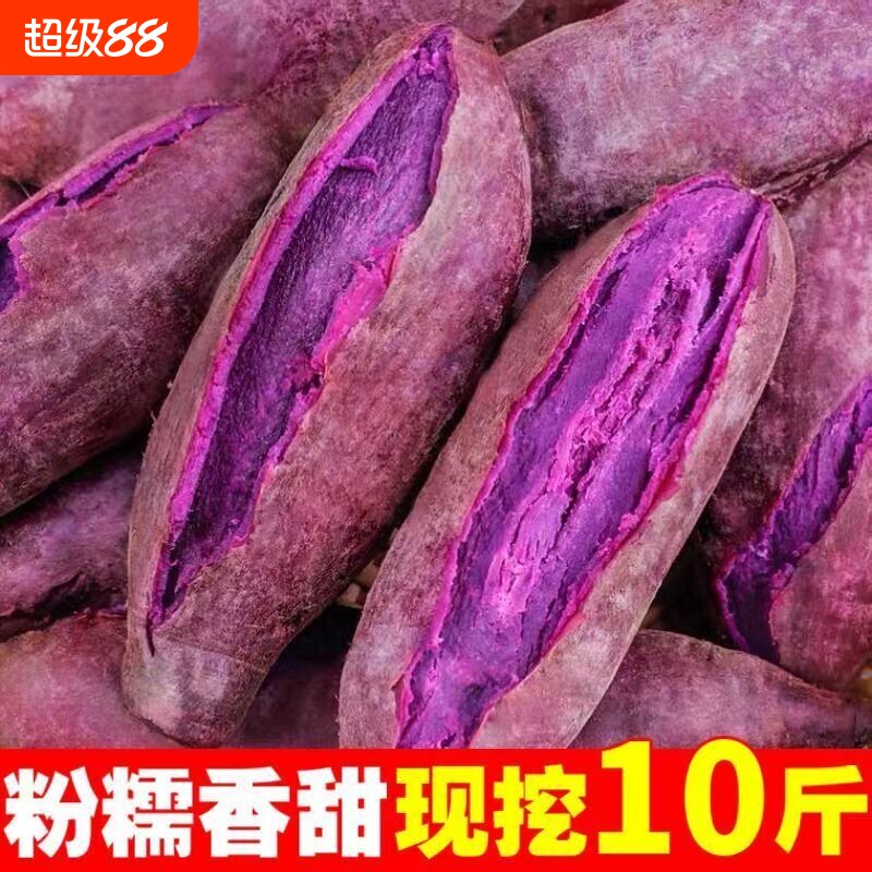 紫薯新鲜沙地紫红薯地瓜板栗蜜薯图片