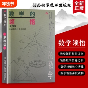 全新正版 数学的领悟：从算题困惑到规律通透  解锁数学思维的底层逻辑 不只是记公式，更是读懂数字背后的思维密码