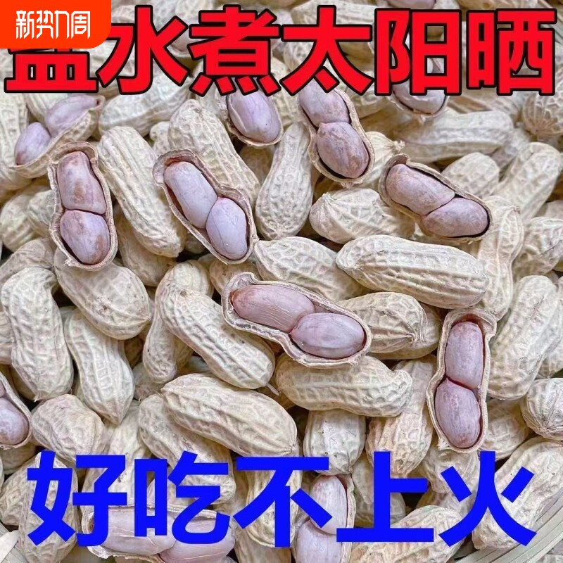 水煮花生龙岩花生蒜香味花生水煮花生晒干咸干花生五香花生熟花生