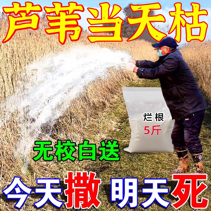 芦苇烂草烂根剂腐芦苇专用一扫光鱼塘藕田强力灭水花生杂草神器