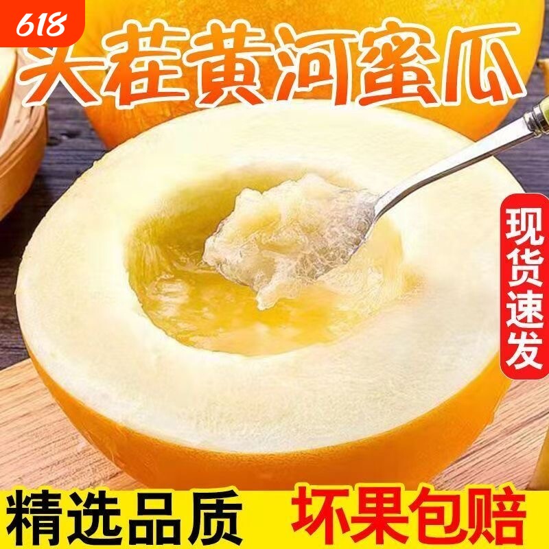 正宗陕西黄河蜜瓜黄金蜜甜瓜新鲜水果当季整箱包邮孕妇批发价包邮