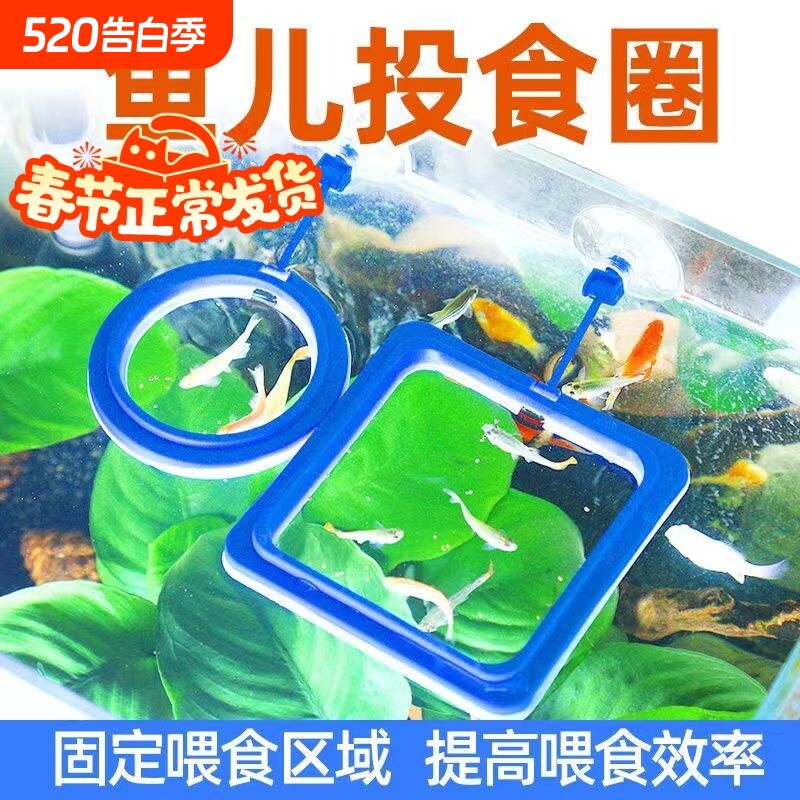 鱼缸喂食器防飘散漂浮悬浮喂食圈投食器投食圈鱼食投喂器喂鱼固定