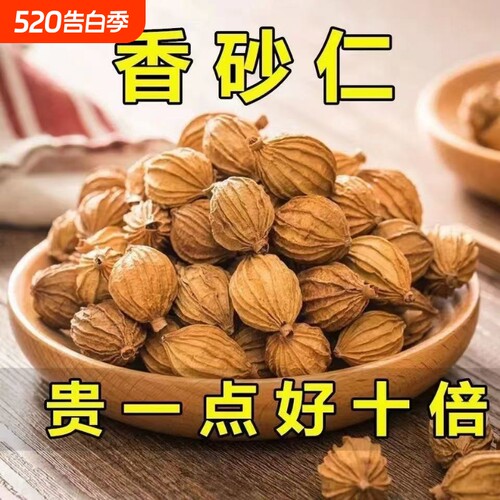 四川香砂仁正宗金砂仁香料沙仁正品食用砂仁调味卤肉包火锅新货