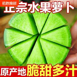 正宗潍县萝卜水果萝卜甜脆清脆爽口季四季青皮绿萝卜沙窝新鲜