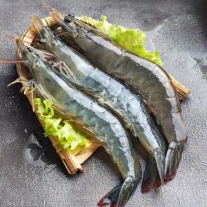 大虾鲜活速冻基围虾盐冻海虾白虾厄瓜多尔南美对虾类海鲜水产冷冻
