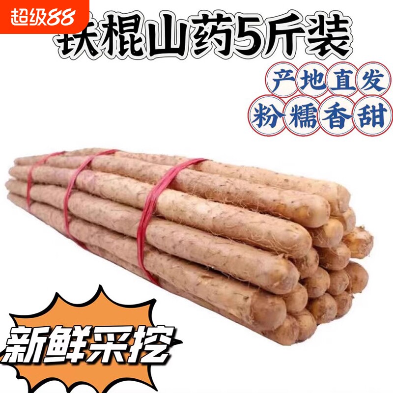 河北蠡县麻山药铁棍山药新鲜山药小白嘴山药粉糯轻微带土产地直发