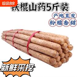 河北蠡县麻山药铁棍山药新鲜山药小白嘴山药粉糯轻微带土产地直发
