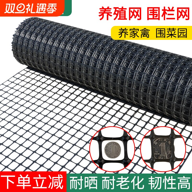 塑料网格养殖网土工格栅果园鱼塘防护网圈地网漏粪网养鸡鸭围栏网