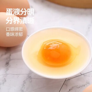 散养鸡蛋鲜鸡蛋笨鸡蛋柴鸡蛋新鲜蛋新鲜鸡蛋40g