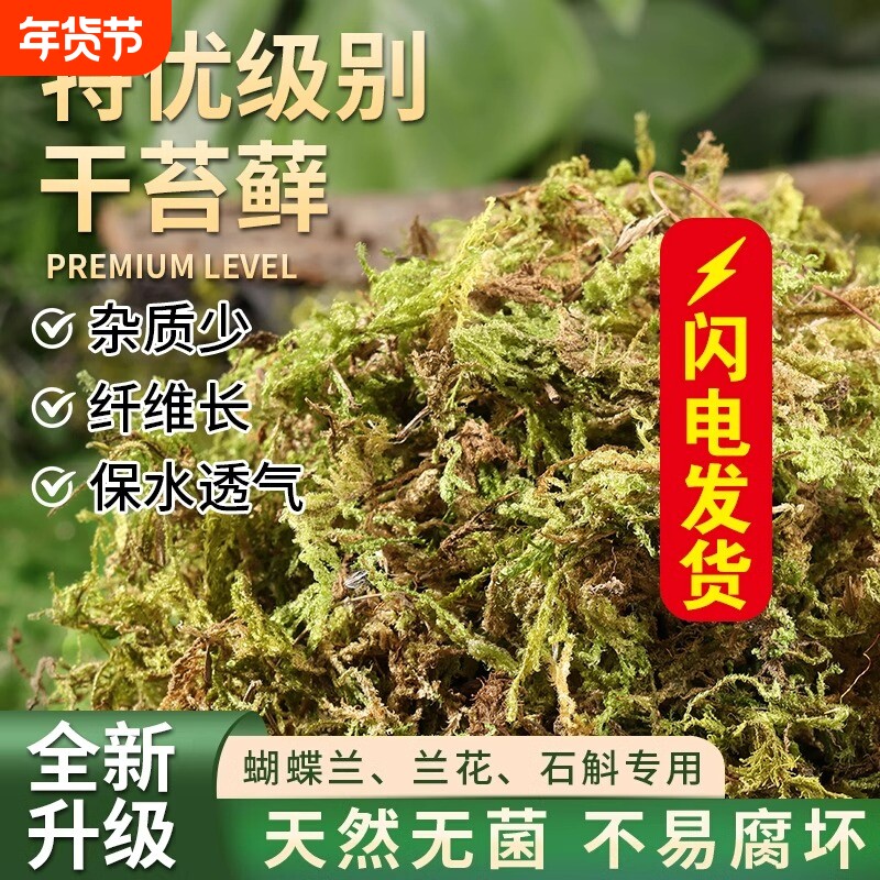 干苔藓水苔青苔兰花蝴蝶兰石斛种植专用营养土乌龟垫材鲜活铺面